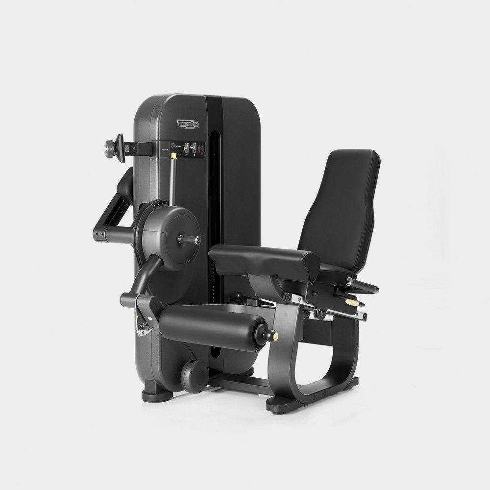 Artis Leg Extension