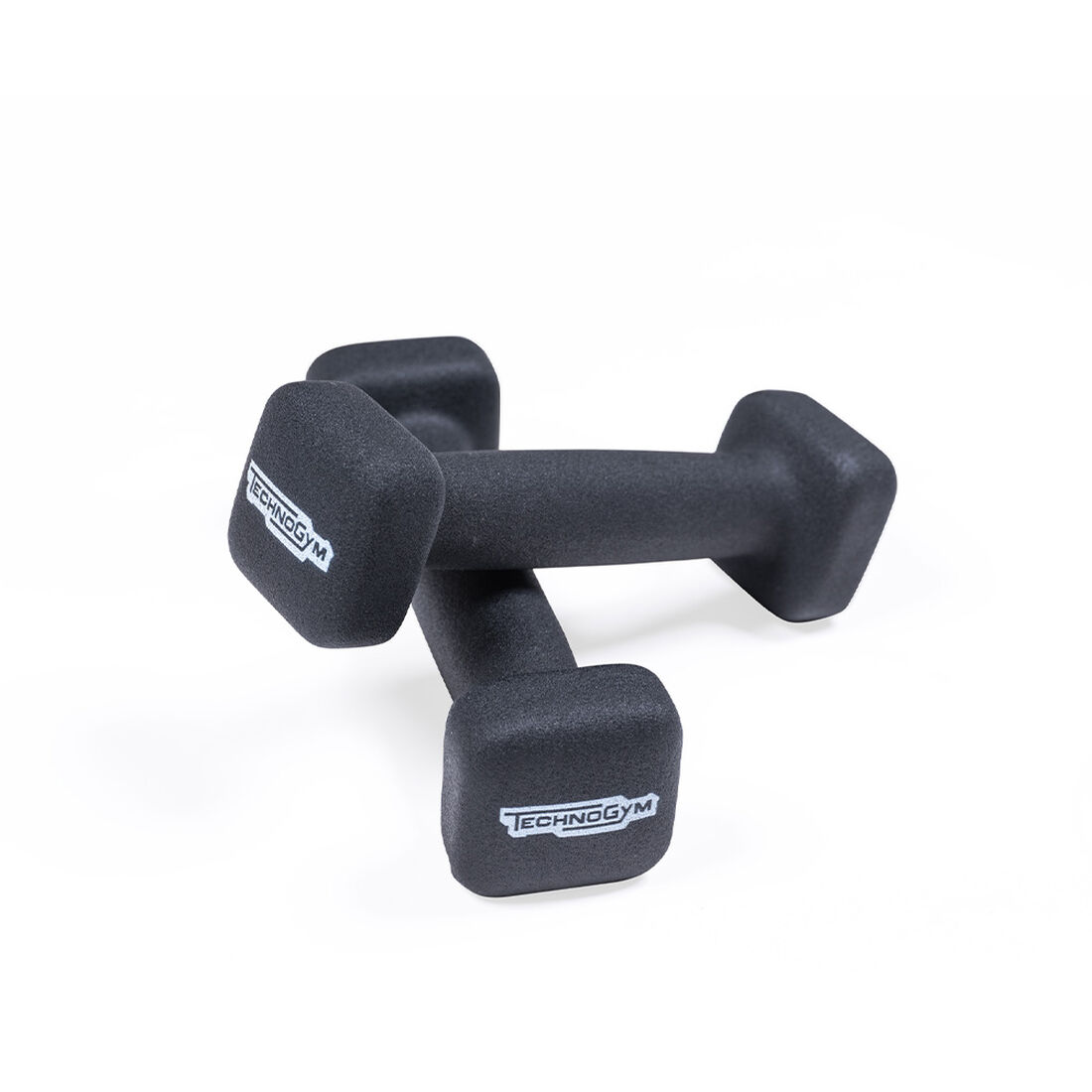 Technogym Bike Weights