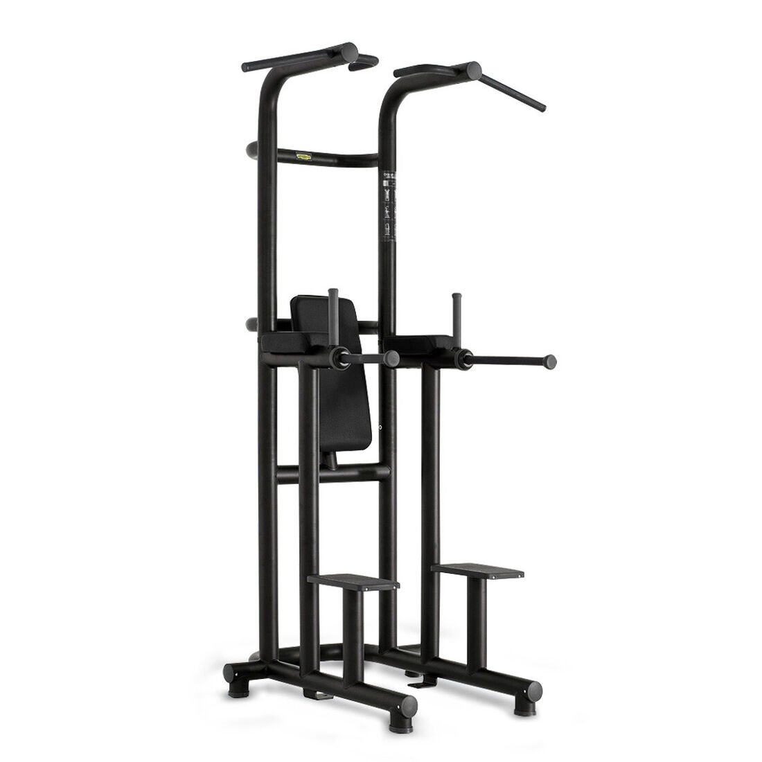 Technogym Chin Up / Dip / Leg Raise