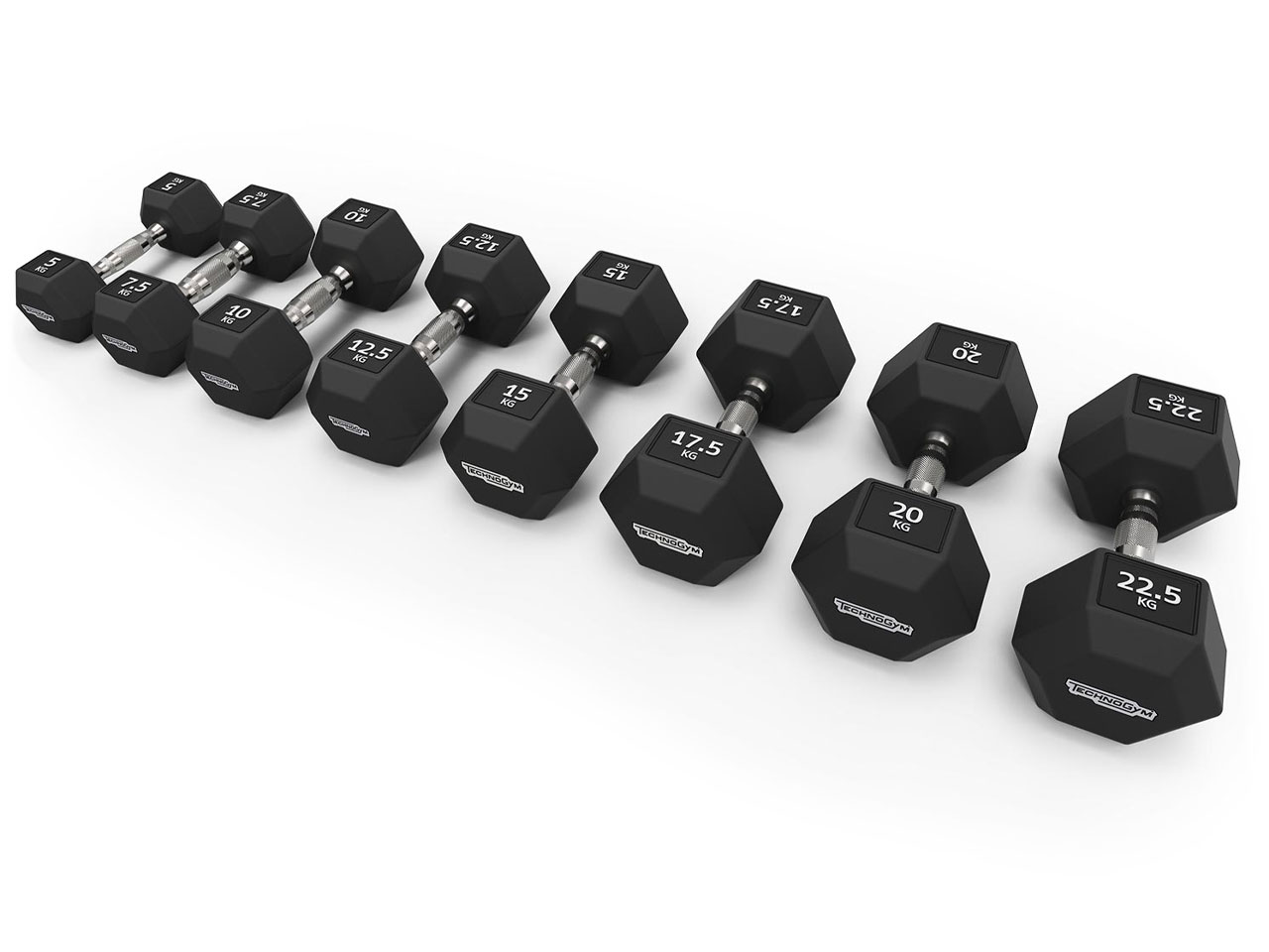 Technogym Hexagon Dumbbell