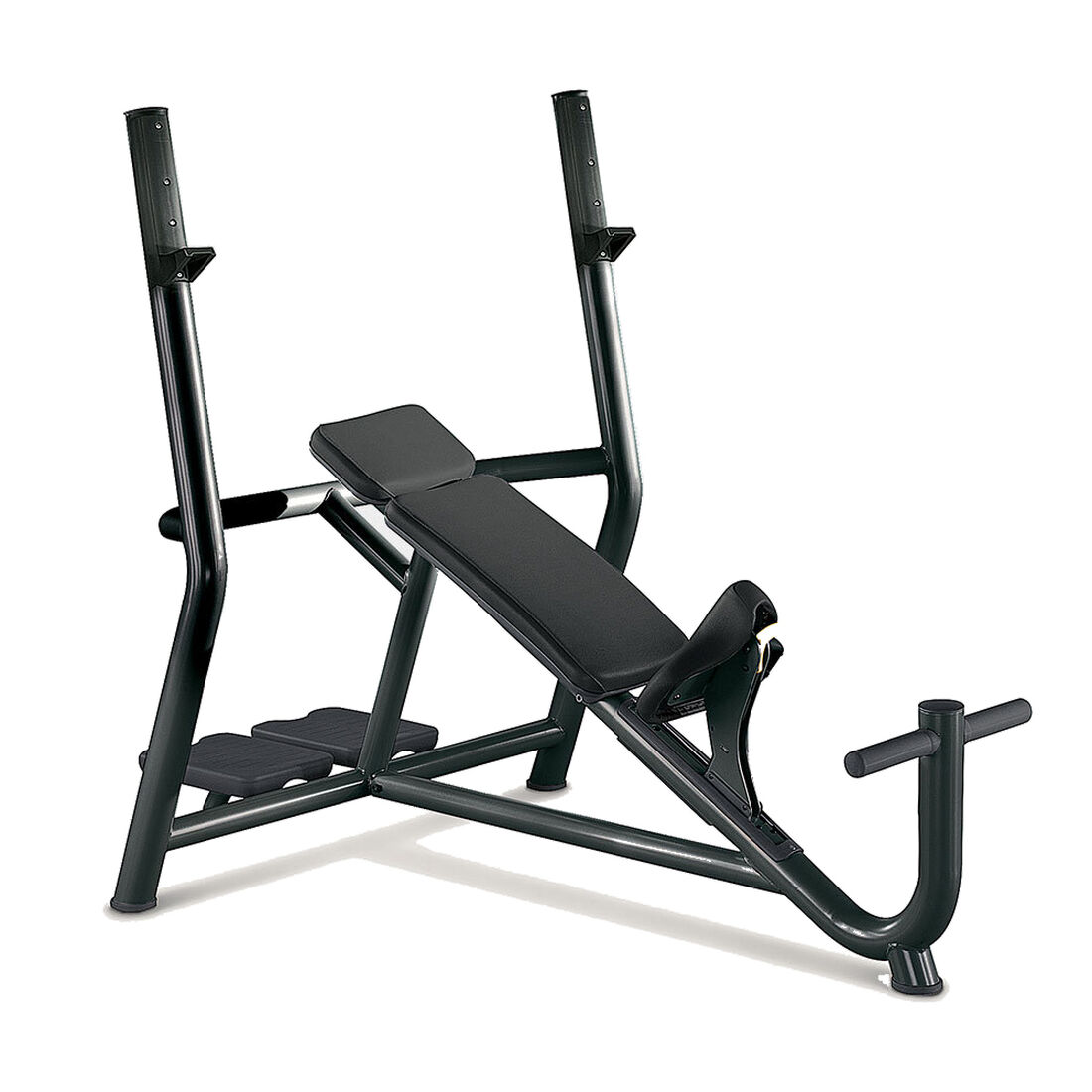 Technogym Inclined Bench