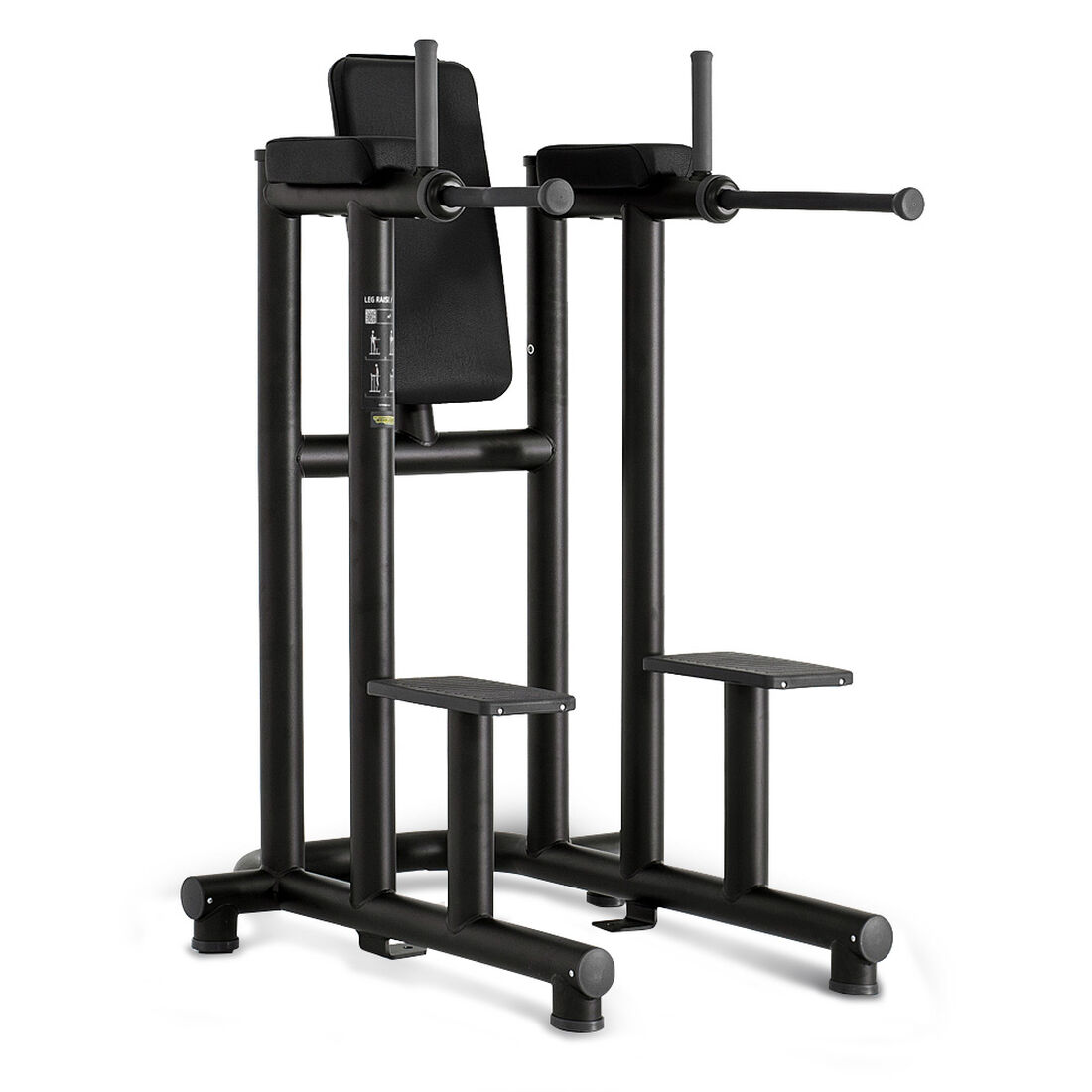 Technogym Leg Raise Dip