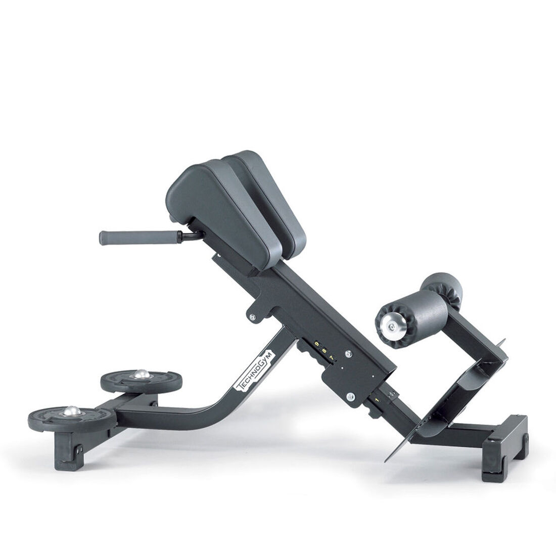 Technogym Lower Back Bench Pure