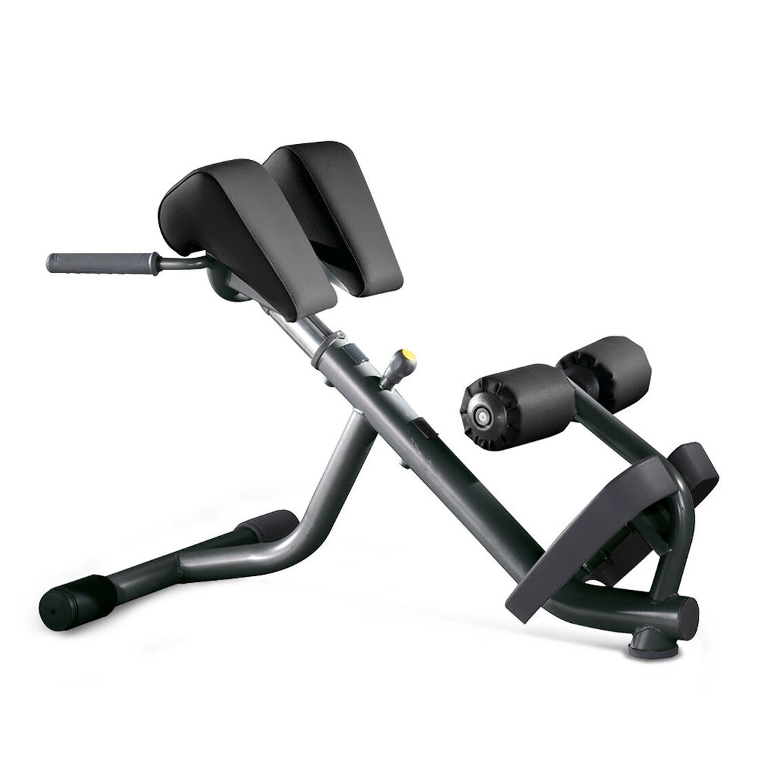 Technogym Lower Back Bench