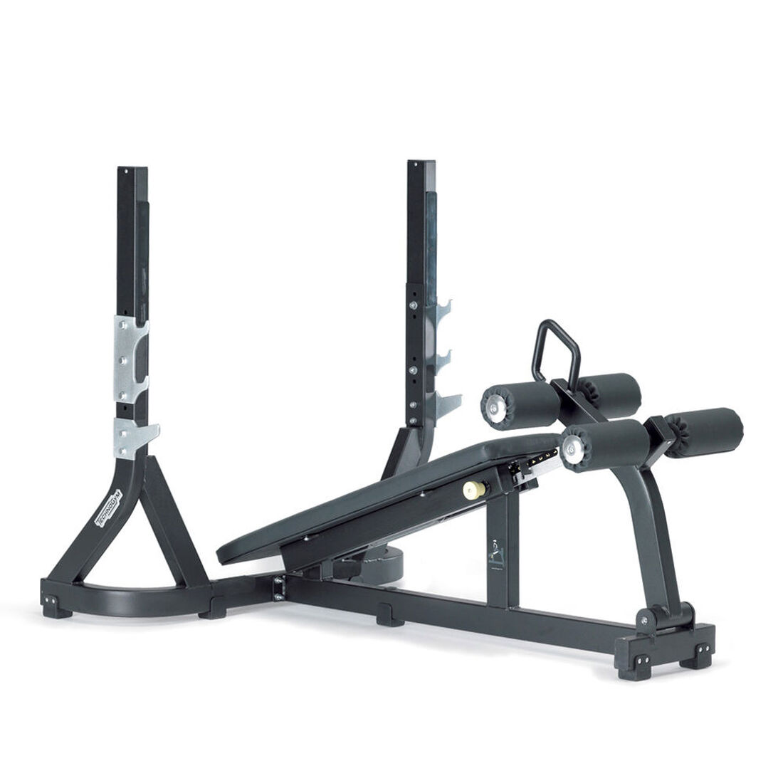 Technogym Olympic Decline Bench