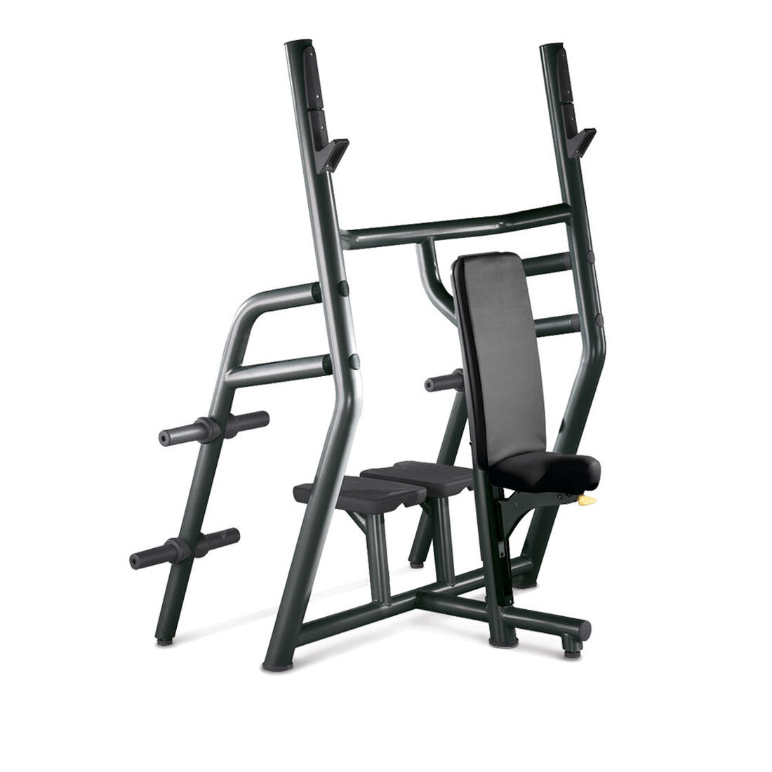 Technogym Vertical Bench