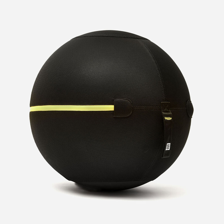 Technogym Wellness Ball Active Sitting