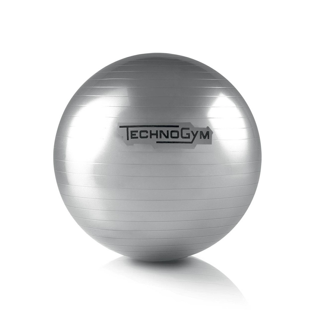 Technogym Wellness Ball Training Grey